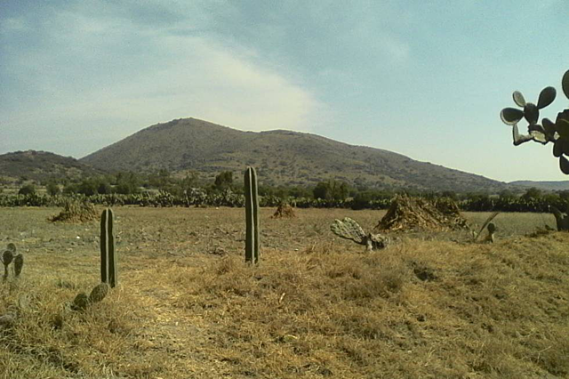 Acuerdo que Prorroga el Proyecto Planificación de Aprovechamiento y utilización de Áreas Forestales Tropicales