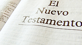 Timeline: Janna Carvajal - Línea Bíblica N.T