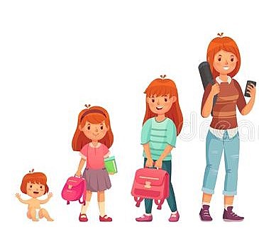 Nivel Primario y Secundario