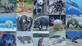 Timeline: Tarea De Biologia