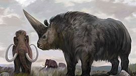 Timeline: Especies  extintas