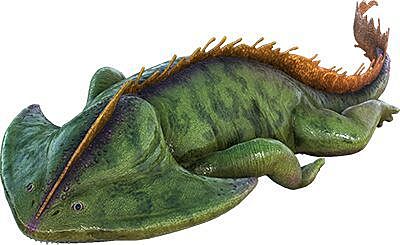 Diplocaulus
