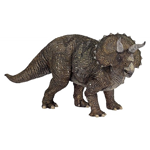 Triceratops