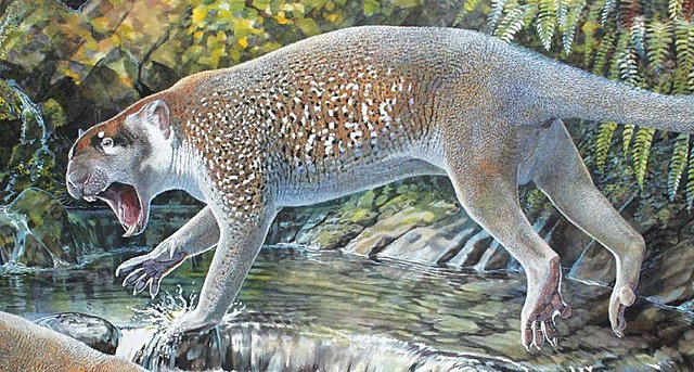León marsupial
