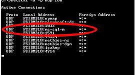 Timeline: VIRUS INFORMÁTIVOS