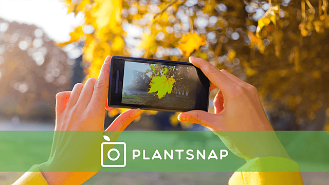 PlantSnap App