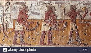 Primera etapa-Inspección