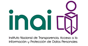 INAI (Instituto Nacional de Acceso a la Información Pública Gubernamental y Protección de Datos Personales)