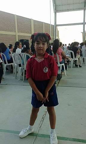 Mis Estudios - Nivel Inicial