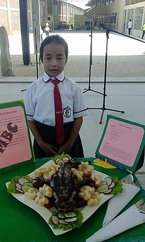 MIS ESTUDIOS PRIMARIOS