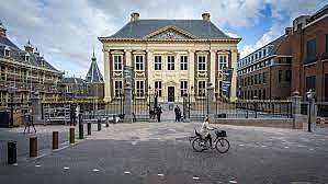 Van Gogh is employed by the Hague gallery.