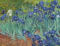 Completion of Irises