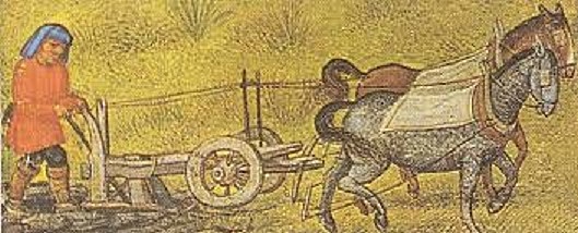 5. CARACTERÍSTICA CAROLINGIA.