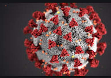 Inici de la pandèmia