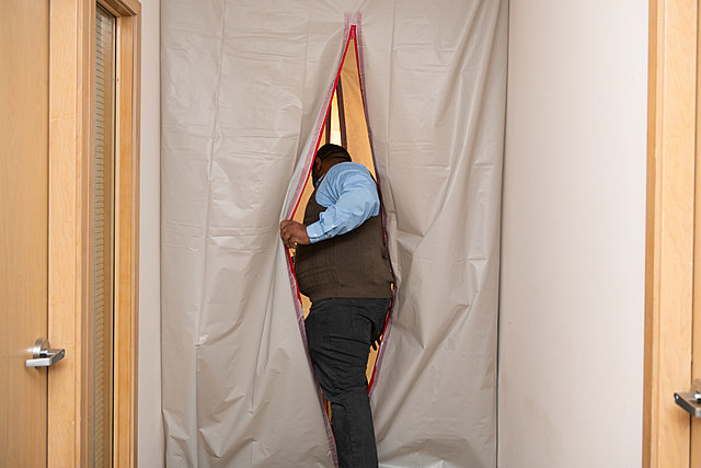 COVID-19 Arrives in the United States.