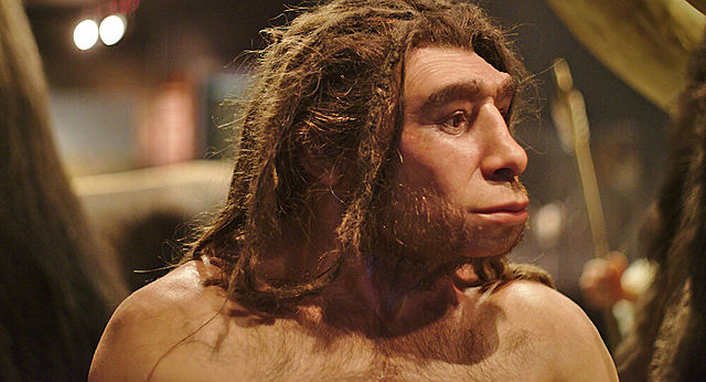 Homo neanderthalensis