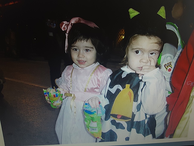 A LA FALLA AMB LA MEUA COSINA DISFRESSADES