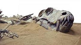 Timeline: Evaluación D1 Biología Juan Manuel Giraldo Narvaez