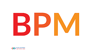 primera versión de BPM