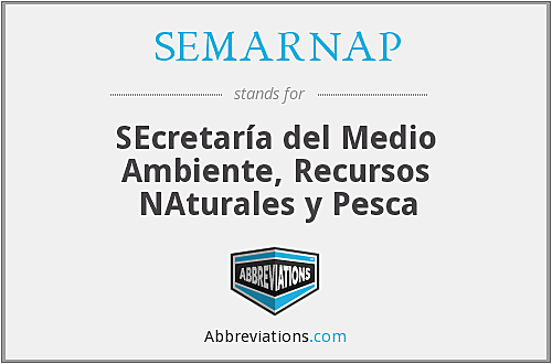 Creación de la SEMARNAP