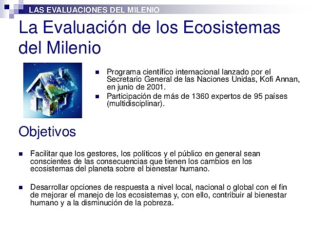 Lanzan la evaluación de ecosistemas para el milenio