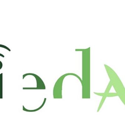 Timeline: Línea del Tiempo RTU IEDA 2020