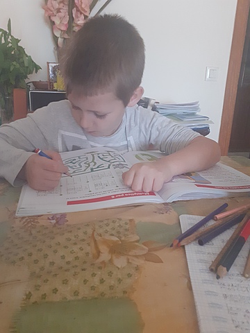 la crisis del CORONA VIRUS