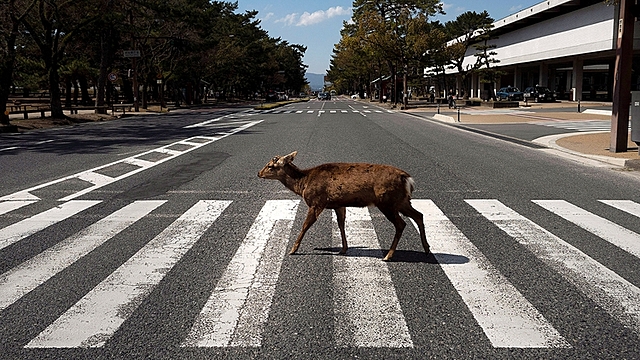 El año en que la tierra respiro