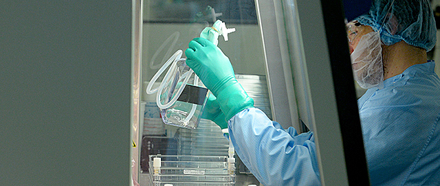 EDICIÓ DEL GENO;A HUMÀ