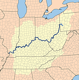 Identificación de cuerpo