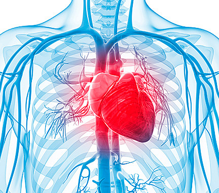 Transplante de corazón humano