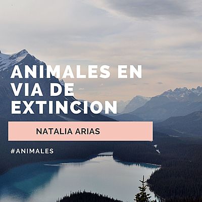 Timeline: ANIMALES EXTINTOS A LO LARGO DE LA HISTORIA