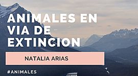 Timeline: ANIMALES EXTINTOS A LO LARGO DE LA HISTORIA