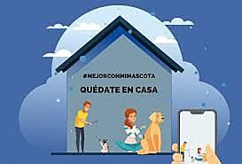 a partir de 18 de marzo hasta el 31 se dirigió el aislamiento obligatorio