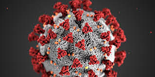 coronavirus
