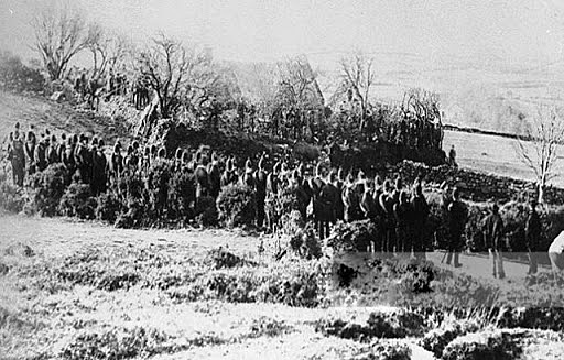 Devastación por Phytophthora infestans en Irlanda