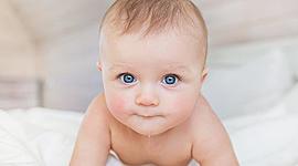 Timeline: FASES DEL DESARROLLO INFANTIL