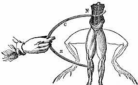 Galvanismo, el estudió el efecto de la electricidad sobre los animales