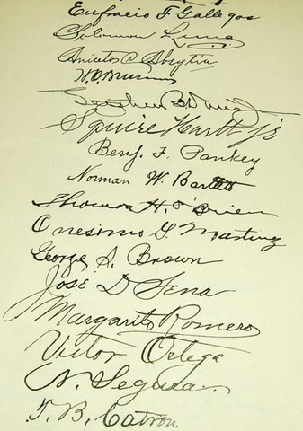 New Mexican constitution adopted