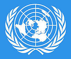 Asamblea General de las Naciones Unidas