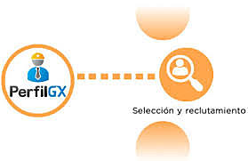 Administración del proceso de reclutamiento para Werther.