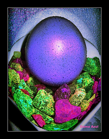 Aristóteles y los 5 elementos.