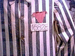 No sols els hebreus anaven als camps