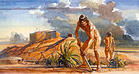 Migration of Mesoamerican people brings corn to North and South America