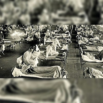 Timeline: LOS VIRUS Y LA PANDEMIA