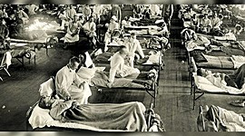 Timeline: LOS VIRUS Y LA PANDEMIA