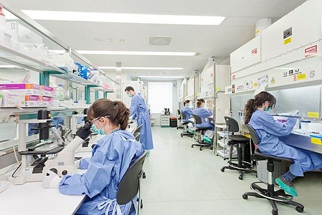 Buenas Prácticas de Manufactura