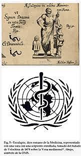 Desarrollo De Nuevos  Modelos Salud Enfermedad Propuestos Por La OMS