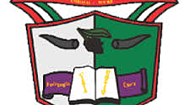 Timeline: Escuela Normal