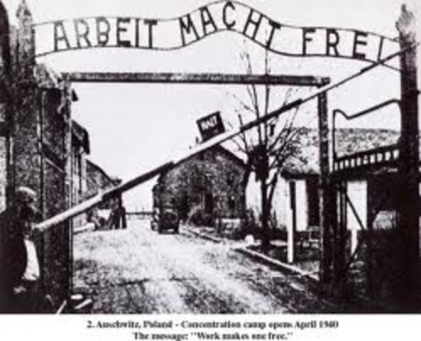 Mass murder at Auschwitz begins